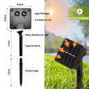 LEDs Decorativos Compre 1 Leve 2 para Iluminar e Transformar Ambientes