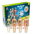 Esqueleto humano infantil para aprendizado e estudo da anatomia